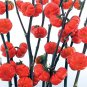 Fresh Pumpkin On A Stick Eggplant Seeds For Planting (10 Seeds) Ships From Iowa Usa Garden