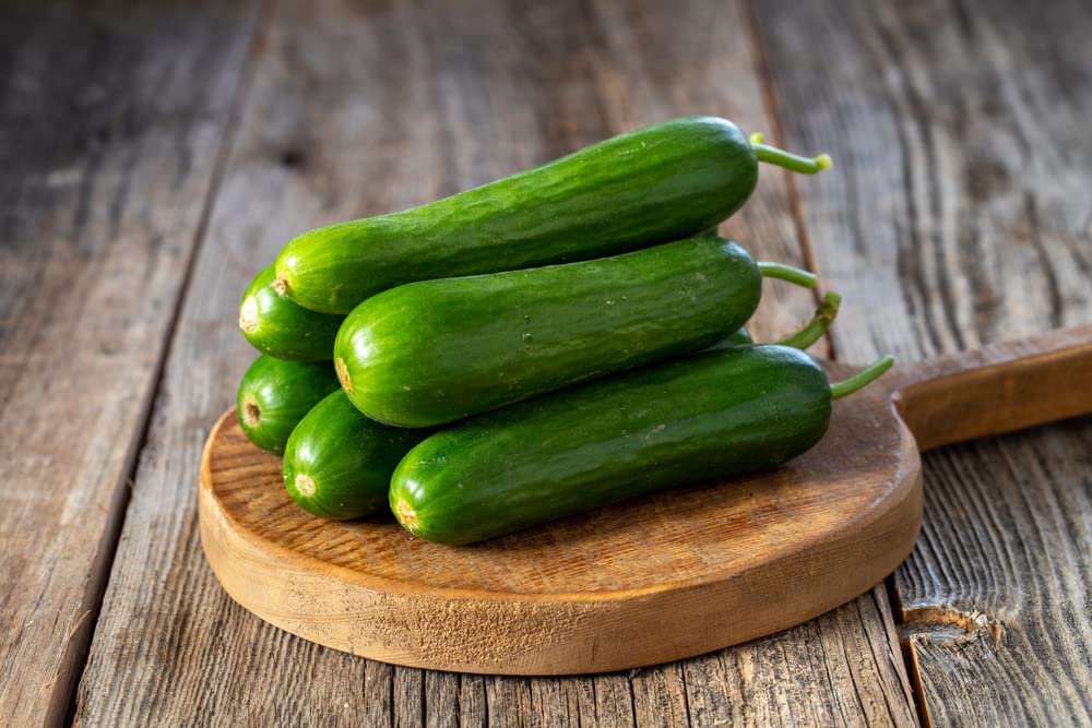 Fresh 10 Mini Me Cucumber Seeds To Grow Mini Vegetable Garden