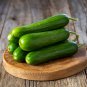 Fresh 10 Mini Me Cucumber Seeds To Grow Mini Vegetable Garden