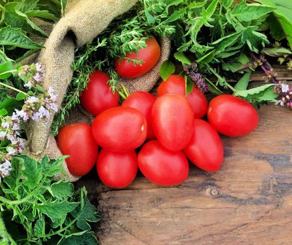 Fresh 40 Pink Cherry Tomato Seeds For Planting Garden