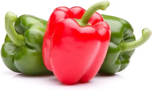 Fresh 30 Ozark Giant Sweet Peppers Seeds To Grow Delicious Bell Peppers Garden
