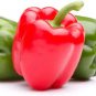 Fresh 30 Ozark Giant Sweet Peppers Seeds To Grow Delicious Bell Peppers Garden