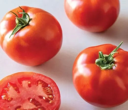 Celebrity Tomato Seeds Celebrity Tomato Non Gmo 30 Seed Pack Garden