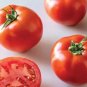 Celebrity Tomato Seeds Celebrity Tomato Non Gmo 30 Seed Pack Garden