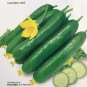 15+ Chinese Fruit Cucumber Seeds Burpless Persian Mini Cucumber Usa Garden
