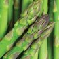 50+ Asparagus Seeds Mary Washington Asparagus (Asparagus Officinalis) Usa Garden