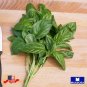Premium 1200 Seeds Genovese Basil Non Gmo Heirloom Garden