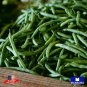 20+ Bush Roma Ii Bean Seeds Heirloom Vegetable Non Gmo Garden