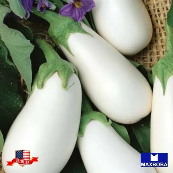Eggplant Casper White 30 Seeds Non Gmo Heirloom Vegetable Garden