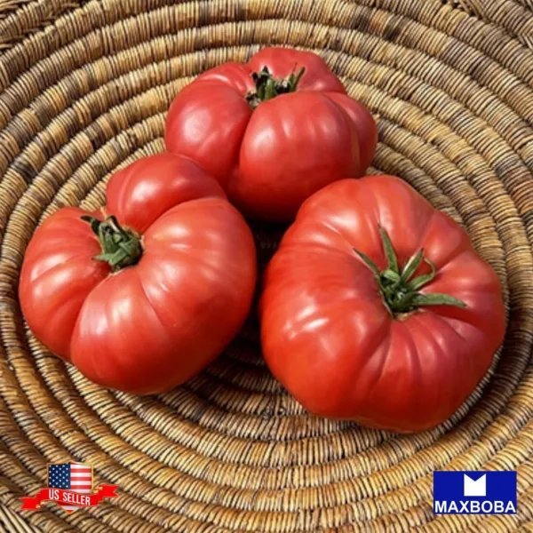100+ Tomato Seeds German Johnson Heirloom Vegetable Non Gmo Garden
