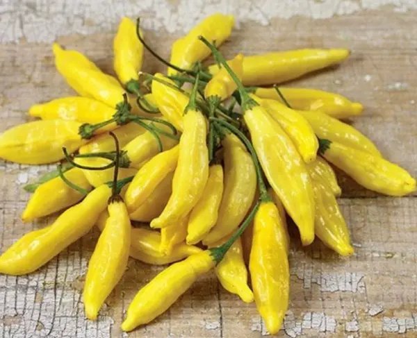 Lemon Drop Pepper Seeds Garden
