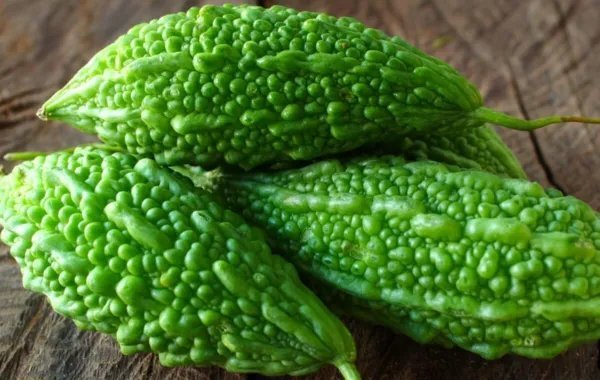 15 Seeds Organic Bitter Melon/Bitter Guard Garden