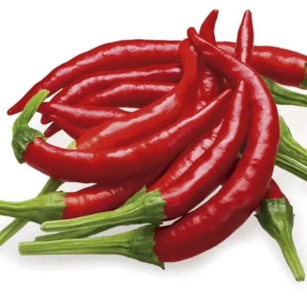50+ Seeds Arbol Chile/Chile De Arbol Hot Pepper Seeds Garden