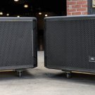 J2X BL SRX828SP 18 inch Dual Self-Powered Subwoofers