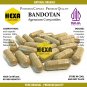 Ageratum Conyzoides (Bandotan) Original Pure Organic 100 Caps-Premium Quality