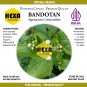 Ageratum Conyzoides (Bandotan) Original Pure Organic 100 Caps-Premium Quality