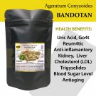 Ageratum Conyzoides (Bandotan) Original Pure Organic 100 Caps-Premium Quality