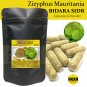 Justicia Gendarussa (Gandarusa) Original Pure Organic 100 Caps-Premium Quality