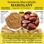 Swietenia Macrophylla (Mahogany Seed) Original Pure Organic 100 Caps-Premium Quality