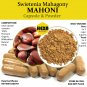 Swietenia Macrophylla (Mahogany Seed) Original Pure Organic 100 Caps-Premium Quality