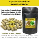 Cardiovascular Health, Gynura Procumbens (Sambung Nyawa) 400 Caps  Premium Herbs