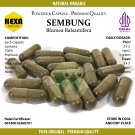 Blumea Balsamifera (Daun Sembung)  100 Caps Premium- Anti Inflamantory, Microbial, Plasmodial