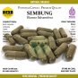 Blumea Balsamifera (Daun Sembung) 100 Caps Premium- Anti Inflamantory, Microbial, Plasmodial