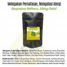 Pneumonia & Respiratory Heliotropium Indicum (Sangketan) 100 Caps Premium Quality Natural Herbs