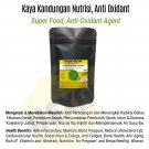 Reduces Cholesterol,  Anti-Oxidant Moringa Oleifera (Kelor) 500 Caps Premium Herbs