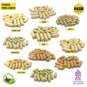 Reduces Cholesterol, Anti-Oxidant, Moringa Oleifera (Kelor) 100 Caps, Premium Herbs