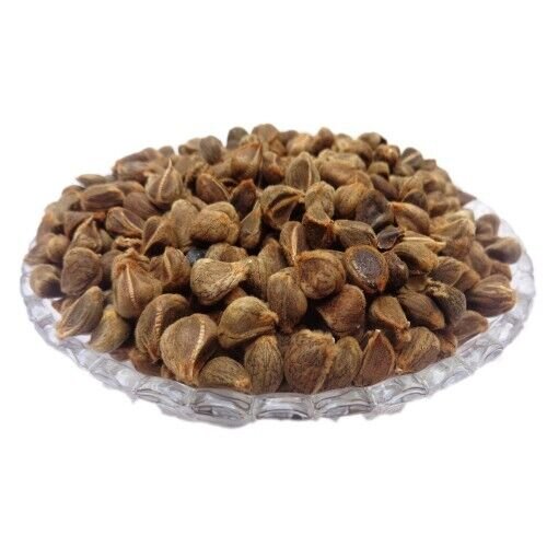 AYURVEDIC ELEPHANT CREEPER-ARGYREIA SEED RAW DRIED SEED-VIDHARA-BIDHARA SEED