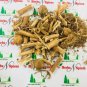 Dhatura Panchang - Dhatura Stramonium Dry Whole Plant-Datura Moonflower