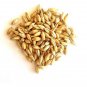 BARLEY - JAU - HORDEUM VULGARE -AYURVEDIC -HERBAL - ORGANIC -NATURAL -PURE -BRAN