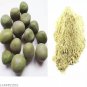 KARANJWA SEEDS POWDER - KAT KARANJA - SAGARGOTA – CAESALPINIA BONDUCELLA