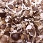Moringa Seeds,emillas de Moringa,Drumstick Tree, Moringa oleifera, West Indian