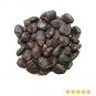 BHILAWA SEEDS - MARKING NUT - BILAVA BEEJ - BHILAVA - BILAWA