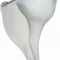 Dakshinavarti Shankh Right Hand Conch Shell for Puja Items Pooja Gift Small 2"