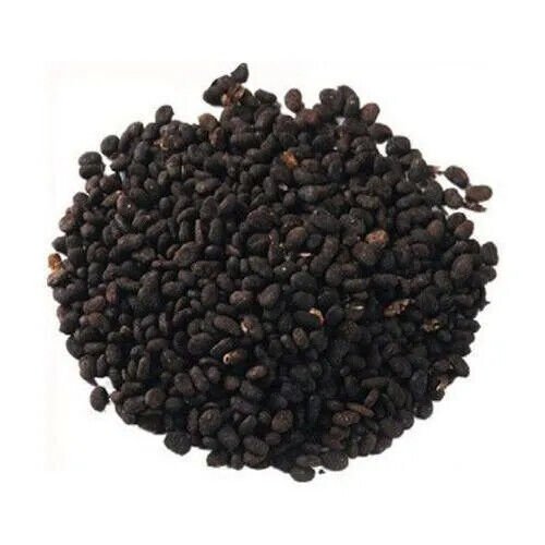 BABCHI SEEDS - BAKUCHI SEEDS - BAVACHI BEEJ - BAVCHI BEEJ - PSORALEA SEEDS
