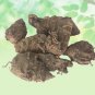 KALI HALDI -NARKACHUR -NAR KACHUR- NAR KACHOOR -BLACK TURMERIC-CURCUMA ZERUMBET