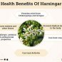 HARSINGAR LEAVES - PARIJAT LEAVES - NYCTANTHES ARBOR-TRISTIS - AYURVEDIC- HERBAL