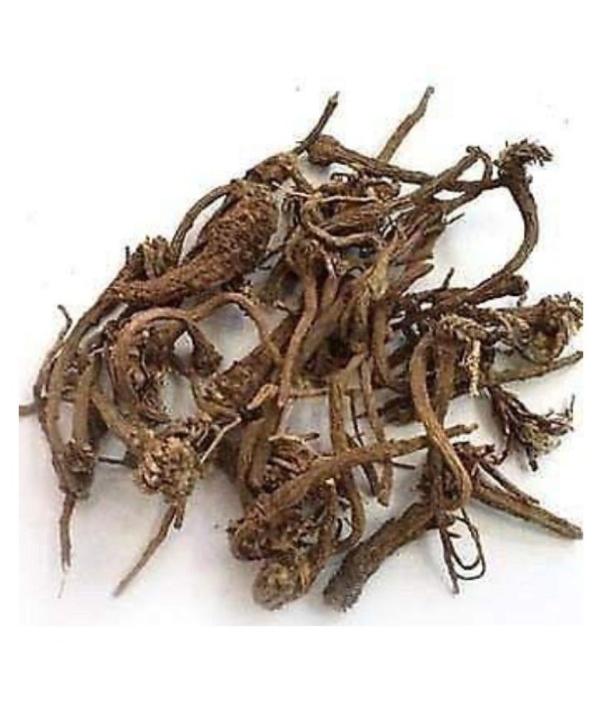 NATURAL AAK KI JAD (DRIED) - CALOTROPIS PROCERA ROOT- TOOLAPHALA ROOT