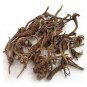 NATURAL AAK KI JAD (DRIED) - CALOTROPIS PROCERA ROOT- TOOLAPHALA ROOT
