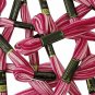 Anchor Stranded Cotton Thread Floss Hand Embroidery Threads Dual Shade - 25 Pcs