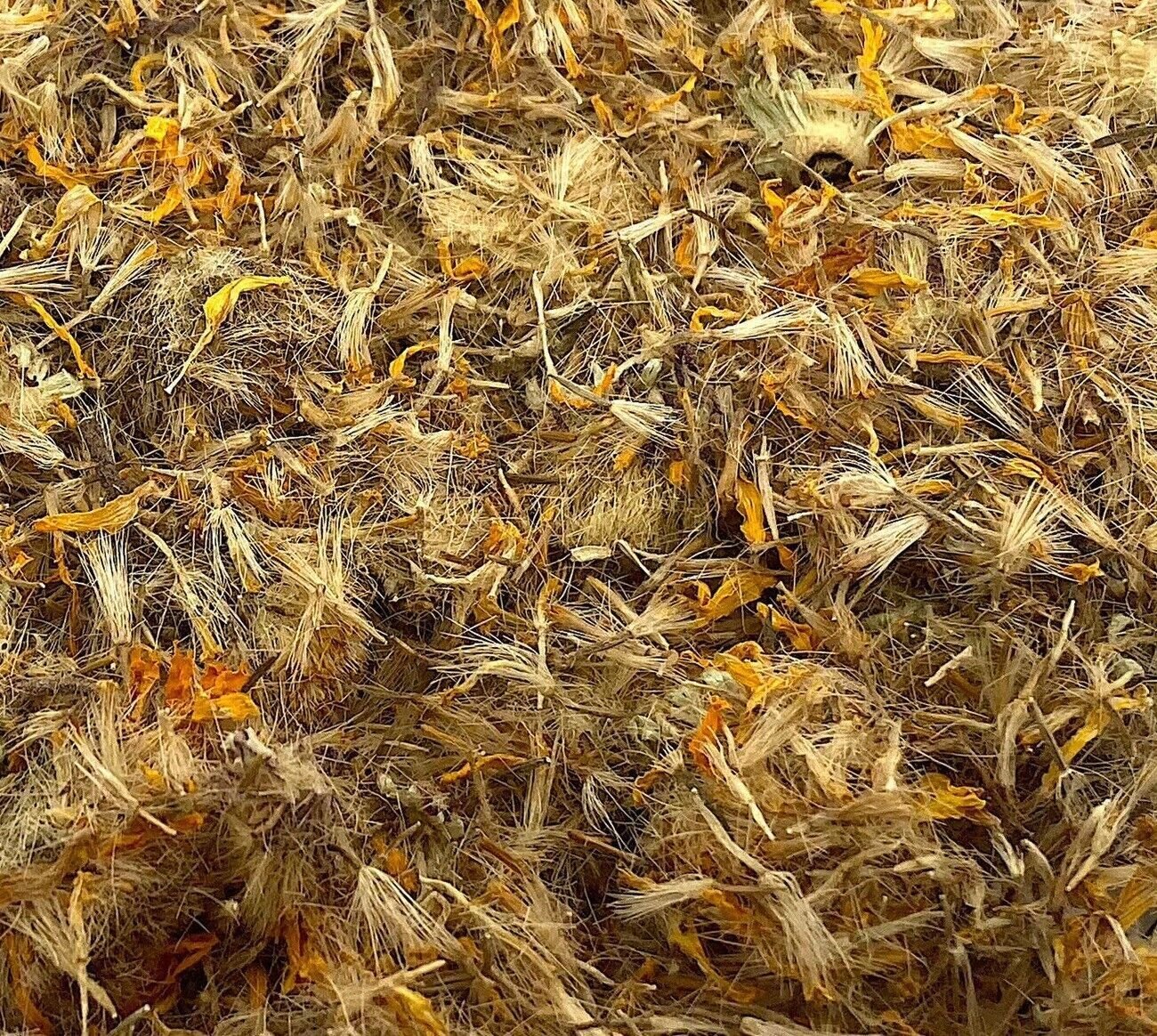 Arnica Dried Whole Flowers Mountain Arnica Herb Arnica Mexicana
