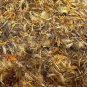 Arnica Dried Whole Flowers Mountain Arnica Herb - Arnica Mexicana