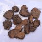 VARAHIKAND - DIOSCOREA BULBIFERA - AIR POTATO - VARAHI KAND - BITTER YAM
