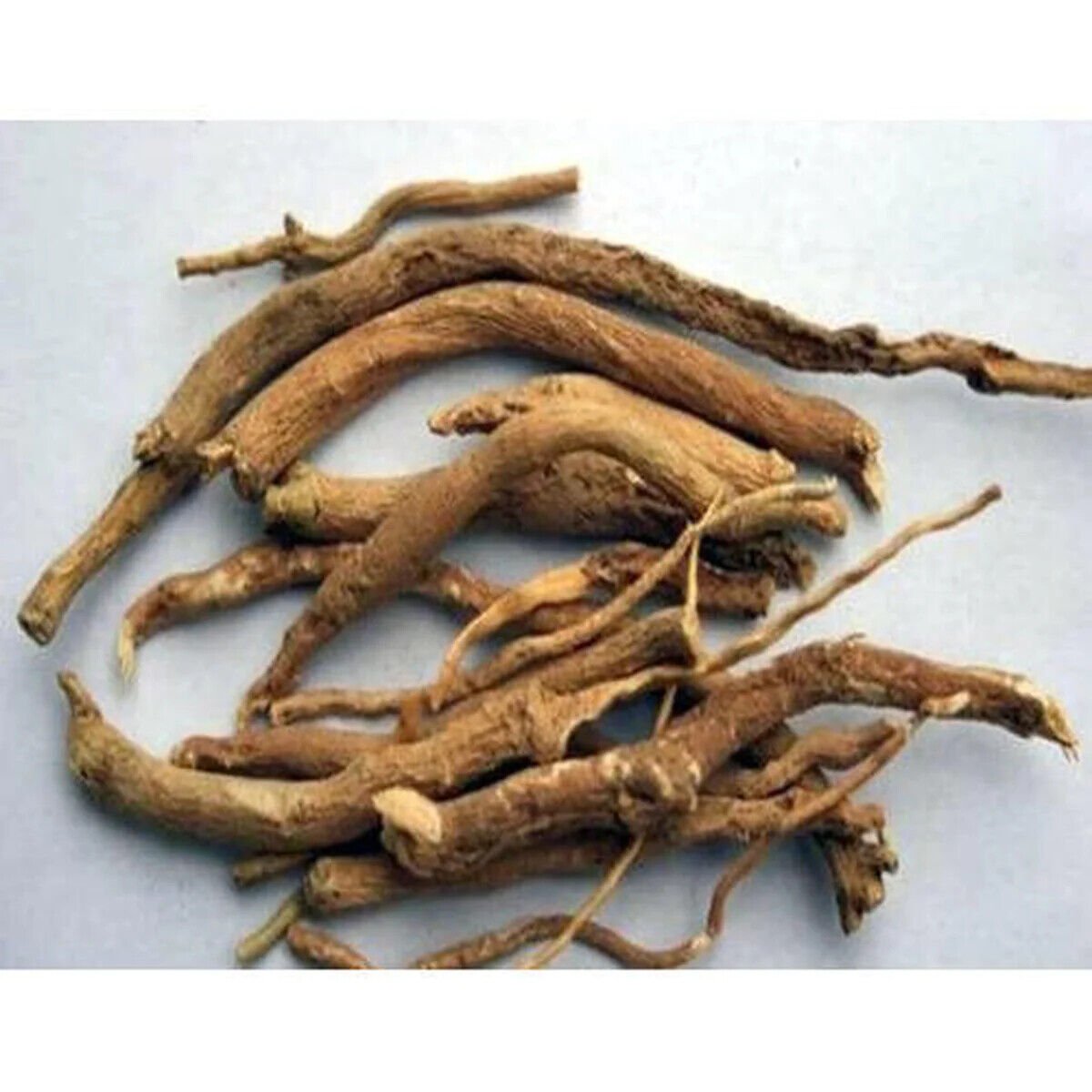 Punarnava Roots-Boerhavia Diffusa-Raw Herbs-Sathi Jadi Booti-Single Herbs