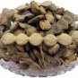 NATURAL KIKAR PHALI - BABUL FALI - BABOOL PHALI - ACACIA NILOTICA