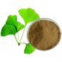 Gingko Biloba Extract Powder 24% Gingko Flavones Free Shipping