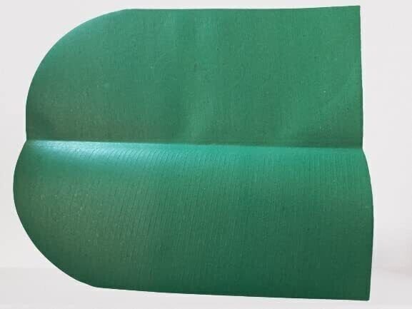 Disposable Paper Banana Leaf Dinner Plate for Food Serving Pack of - 100